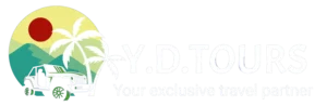 yd tours logo 1