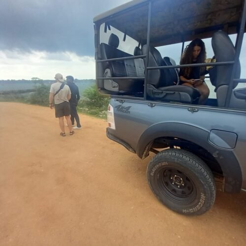 yd tours srilanka image 1